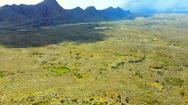 Drone video captures the rich tapestry of life that thrives in this harsh yet magical environment.
Pitch forward and gimbal move.