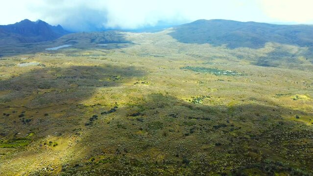 Marvel at the unique flora that blankets the p&aacute;ramo, from vibrant mosses and lichens to delicate orchids and towering frailejones, each painting a picture of unrivaled natural beauty. Throttle up