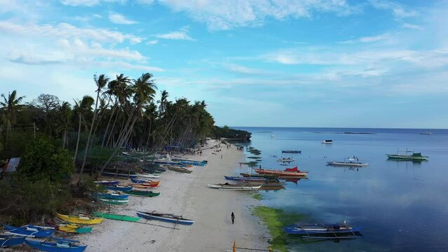 The boats moored at Siquijor Island with its green palm trees , Asia, Philippines, Bohol Island, towards Panglao, in summer on a sunny day.