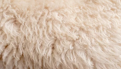Fotobehang Soft white texture background cotton wool light sheep wool close up fluffy fur beige toned wool delicate peach tinted furry animal hair fiber macro detail © Uuganbayar