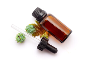 Castor (Ricinus communis) flower, leaves, and fruits with oil in a glass bottle and a dropper. Isolated on a white background.