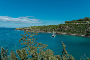 Honolua-Mokuleia Bay Marine Life Conservation District.  Honolua Bay.  Honoapiilani Highway, Wesrt Maui, Hawaii.  Snorkel Honolua. Casuarina equisetifolia, ironwood, 


