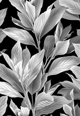 Xray spring leaf bloom nature blossom beautiful black background illustration leaf silhouette, X-ray.