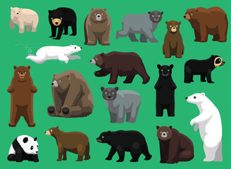 Bear Brown Black Various Species Cute Cartoon Vector Illustration Set