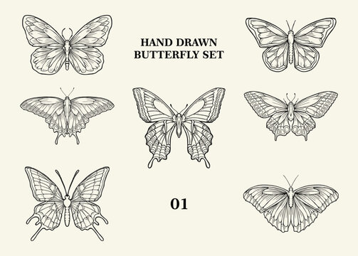 Hand drawn butterfly vector collection set
