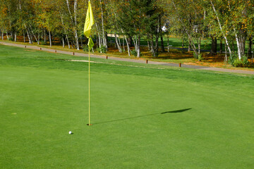 golf ball and flag on a green