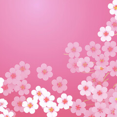 핑크 빛 분홍 봄 벚꽃 배경 배너 (Pink Spring Cherry Blossom Background Banner)