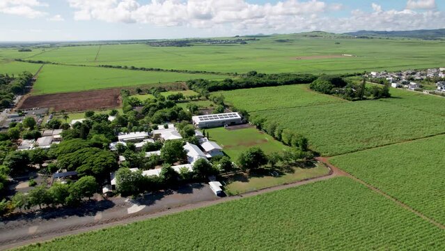 Ecole du nord in mauritius surrounded by lush greenery and fields, sunny day, , aerial view