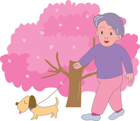 桜と犬を連れて散歩をする高齢女性
