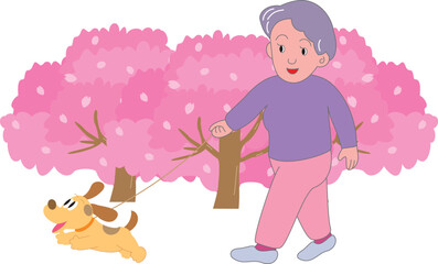 桜と犬を連れて散歩をする高齢女性
