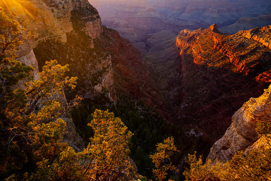 Grand Canyon north rim at golden sunset, Arizona. Canyon national park. Red rocks canyon in Utah. Nature landscape.