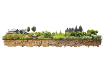 The process of growing vegetables using organic farming principles, various steps of organic production such as soil preparation, planting,   Isolated on transparent background.