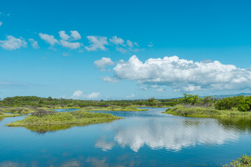 Obraz premium Keālia Pond National Wildlife Refuge, Maui Hawaii