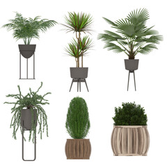 Fototapeta premium set of plants 3d PNG transparent elements 