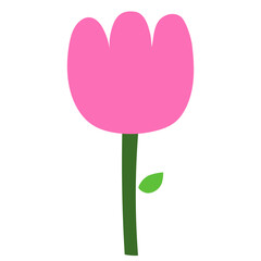 Pink Tulip flower. Hand drawn. Spring and summer. Flat Vector element illustration with transparent background.