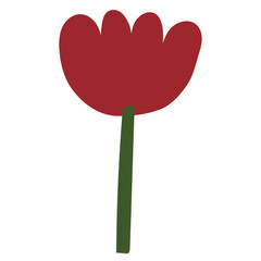 Botanical Nature Red tulip flower. Hand drawn. Spring and summer. Flat Vector element illustration with transparent background.