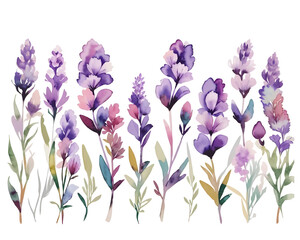purple lavender flowers - obrazy, fototapety, plakaty