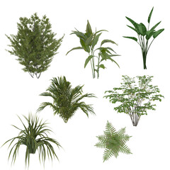 plants 3d PNG transparent elements 