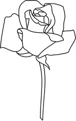 Beauty single Rose doodle outline