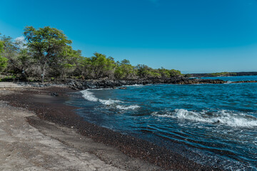  Kalua O Lapa lava and spatter deposits. Ahihi-Kinau Natural Area Reserve, Maui Hawaii. Neltuma pallida. Prosopis pallida is a species of mesquite tree.  La Perouse Bay. May‘s Trumpets


