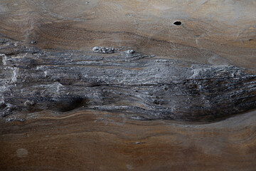 Close-up photo of wood texture