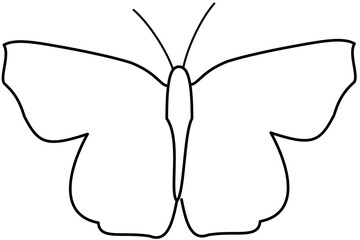 butterfly vector illustration flat color