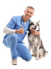 Male veterinarian with cute husky dog showing thumb-up on white background