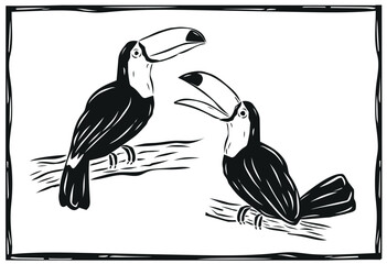 Set of toucans from different angles on a white background. Beautiful toucan birds in woodcut style © AZOGUE.art