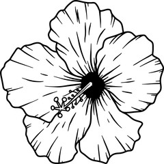 Illustration of hibiscus flower isolated on white background. Design element