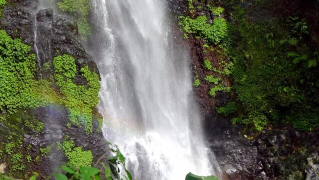 A breathtaking view of a lush, verdant waterfall surrounded by verdant foliage and mossy rocks, cascading down into a serene pool.