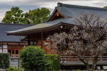 Jonangu Shinto Shrine from Heian period in southern Kyoto Japan - obrazy, fototapety, plakaty