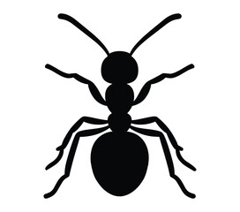 Black and white vector illustration of Acacia Ant.