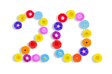 number  written on white background with colorful flowers, Graphic, Illustration