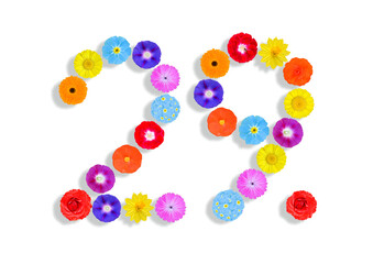 number  written on white background with colorful flowers, Graphic, Illustration