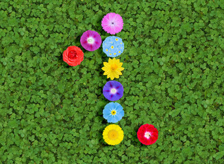 number written with colorful flowers on green clover background