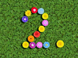 Fototapeta na wymiar number written with colorful flowers on green clover background