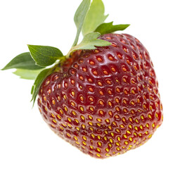 ripe juicy strawberry on white background.