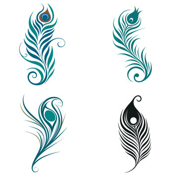 Peacock Feather (Symbolic of Goddess Saraswati). simple minimalist isolated in white background vector illustration