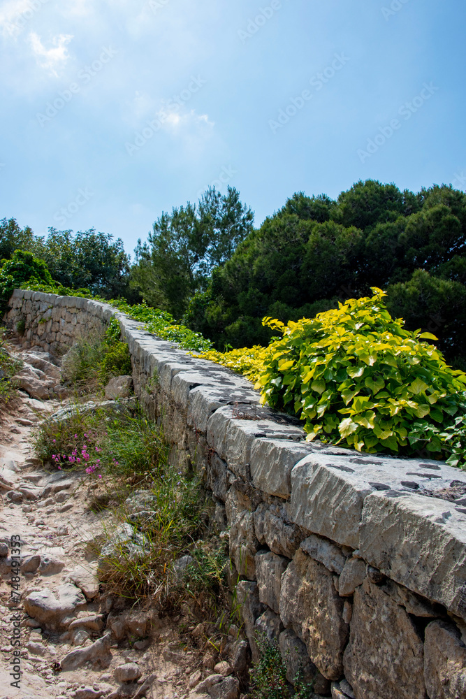 Wall mural victoria lines fortification walls - malta