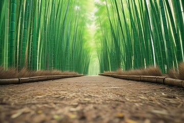 Bamboo Forest and Garden Grass in Nature's Wooded Realm