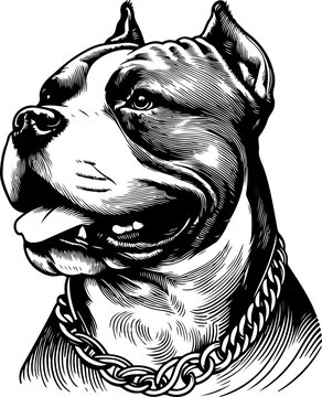 american pit bul terrier dog pet portrait in line art or stencil art illustration, isolated on transparent background