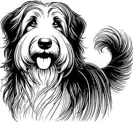Bearded Collie dog pet portrait in line art or stencil art illustration, isolated on transparent background