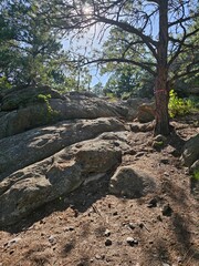 rocks in the mountains