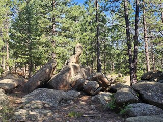 giant rocks and pine tree