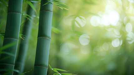 Fototapeta na wymiar Close up of green bamboo forest background. generative ai 