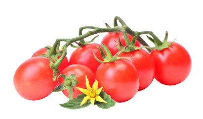Cherry tomato isolated