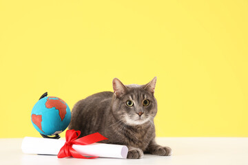 Cute grey cat with diploma and globe on table against yellow background. End of school year