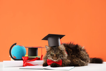 Cute cat with graduation hat, diploma and globe on table against orange background. End of school...