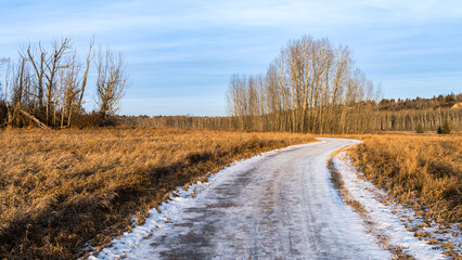 Multi-use trail  in the Oleskiw natural area park in snowless winter, Edmonton, Alberta