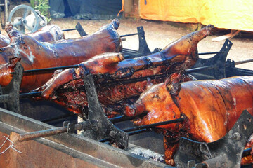 Pork being roasted at a campsite on a sunny day